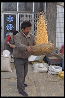 Tossing corn. Yuting Flower and Bird Market. Beijing.
