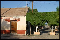 Digital photo titled loreto-topiary-2