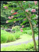 Digital photo titled hirosaki-fujita-garden-2