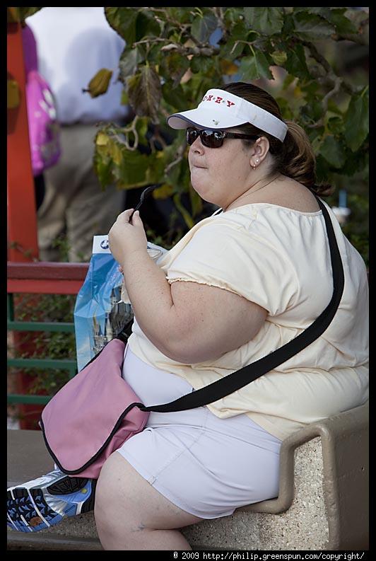 http://philip.greenspun.com/images/20091213-epcot/obese-woman-eating-ice-cream-1.3.jpg