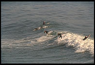 Surfers.  Santa Cruz, California