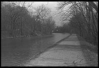 C&O Canal.  Along the Potomac River near Washington, D.C.  1981.