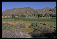 Golf Course.  Palm Springs, California