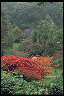 Japanese Garden. Powerscourt. South of Dublin, Ireland.