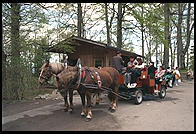 Horse-drawn carriages that take tourists to Neuschwanstein, Bavaria.