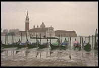 Gondolas in Venice, just in front of St. Mark's