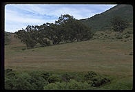 Tennesee Valley Trail.  Marin County, California.