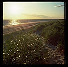 Provincetown Dunes.  Cape Cod.  Massachusetts.