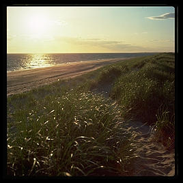 Provincetown Dunes.  Cape Cod.  Massachusetts.