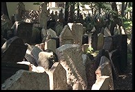 Jewish cemetery. Prague