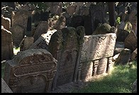 Jewish cemetery. Prague
