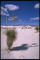 White Sands National Monument, New Mexico