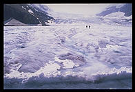 Columbia Icefields.  Canadian Rockies.