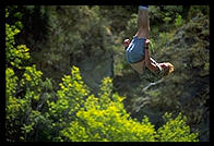 Klaus Schrodt bungee jumps near Queenstown, South Island, New Zealand