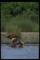 Katmai National Park, Alaska.