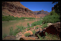 The Colorado River near Moab Utah