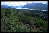 Matanuska Valley (Alaska).
