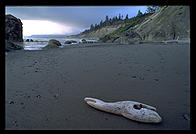 Ruby Beach. Olympic National Park (Washington State)
