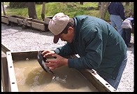 Panning for Gold.  Columbia State Historic Park.  Highway 49.  California