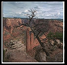A view of the Spider Rock in Canyon de Chelly.  This is where the spider woman came down and taught the Navajo how to weave.