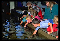 Kids.  Monterey Aquarium.  California.