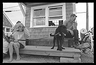 Black Labrador puppy on the wharf in Menemsha, Martha's Vineyard, Massachusetts