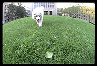 Alex in front of the Green Building. Massachusetts Institute of Technology