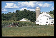 Amish farm.  Pennsylvania.