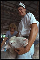Sheep at the New Jersey State Fair 1995.  Flemington, New Jersey.