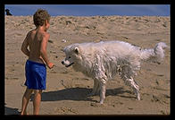 At the Wasque Reservation, Chappaquiddick, Martha's Vineyard, Massachusetts