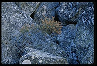 Rocks. Kings Canyon National Park, California