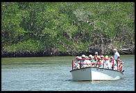 Boat Tour.  Everglades National Park.