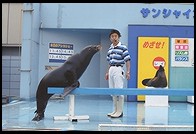 Aquarium at Sunshine City.  Ikebukuro District.  Tokyo