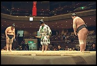 Sumo Competition.  Ryogoku District.  Tokyo