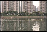 Dragon Boat Racing.  Sha Tin, Hong Kong