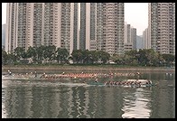 Dragon Boat Racing.  Sha Tin, Hong Kong
