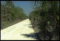 Fakahatchee Strand State Preserve, Florida