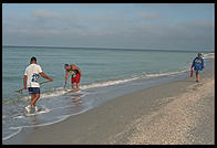 People collecting shells in the morning on the beach at Sanibel Island, Florida
