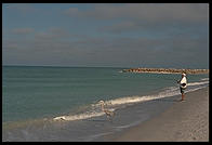 Morning on the beach at Sanibel Island, Florida