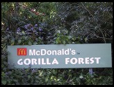 Digital photo titled mcdonalds-gorilla-forest