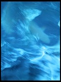 Digital photo titled dolphins-abstract-2