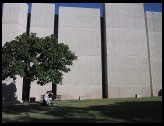 Digital photo titled love-among-the-concrete