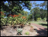 Digital photo titled rockhampton-botanical-gardens