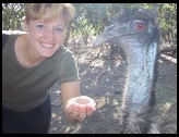 Digital photo titled emu-closeup
