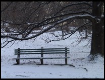 Digital photo titled snowy-bench