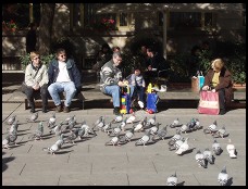 Digital photo titled feeding-pigeons-outside-cathedral