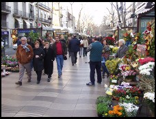 Digital photo titled la-rambla-flower-vendors
