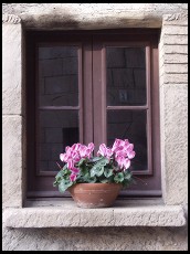 Digital photo titled poble-espanyol-flower-in-window