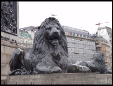 Digital photo titled trafalgar-lion