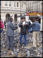 Digital photo titled trafalgar-tourists-and-pigeons-vertical